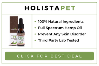 Have You Seriously Considered The Option Of Cbd Oil For Dogs