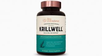 Krill Oil supplement \u2013 Just Enhance Your Knowledge Now!