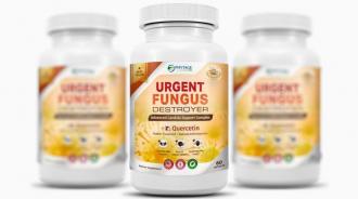 Are You Thinking Of Making Effective Use Of Fungus Supplement