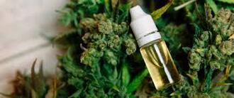 Some Details About Cannabis Oil