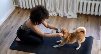 Are You Interested In Dog Friendly Rehabs?