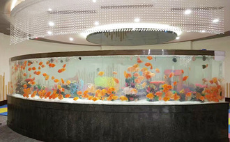 Living system of acrylic fish tank