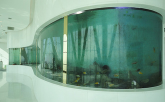 Acrylic fish tank belongs to a niche aquarium product