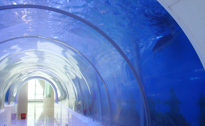 The application of acrylic tunnel is great