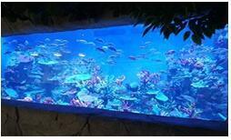 How much do you know about acrylic aquarium?