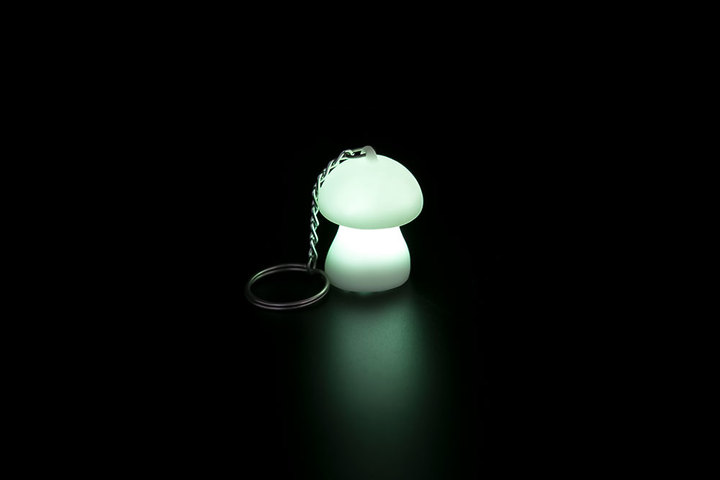 LED Keychain-For High Retention Rates