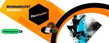 Exploring the Features and Benefits of Betdaddy247 Com: A User Experience Review