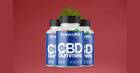 GrownMD CBD Gummies Reviews \u2013 Update Amazon 2022, Best Pain relief