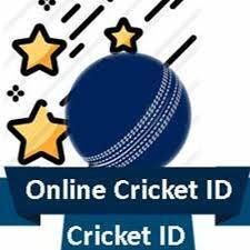 Understanding the Inner Workings of Online Cricket ID Providers
