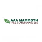 AAA Mammoth Tree &amp; Landscaping LLC