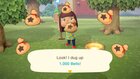 Can I give Bells in Animal Crossing?