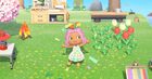 Sharareh Drury's 'Animal Crossing' character outside her home on Isla Kiara