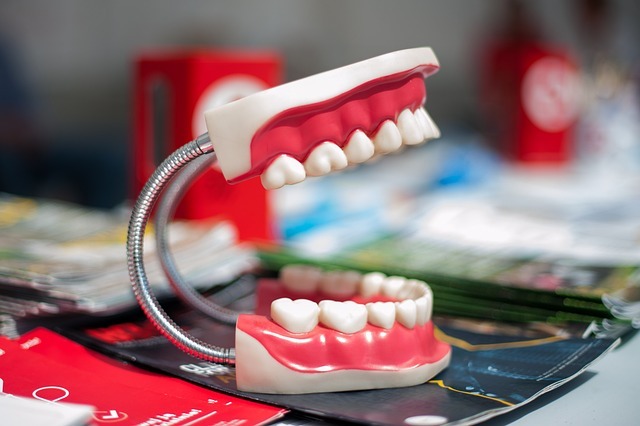 What are the 3 important qualities that dentist needs