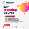 Why Should You Choose an SAP SD Training Institute in Mumbai?