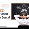 Step-By-Step Guide How SEO Expert Takes Care of Your Business Growth?