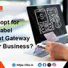 Why Opt for a White-label Payment Gateway for Your Business?