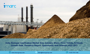 India Biomass Gasification Market 