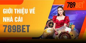 789bet House: Your Definitive Guide to Unlocking Premium Betting Experiences