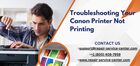 Troubleshooting Your Canon Printer Not Printing