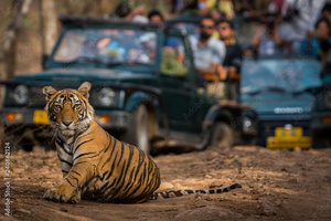 Golden triangle tour with Ranthambore by Taj Mirror Tour Company.