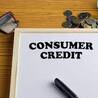 Consumer Credit Market Size, Share, Growth, Trends and Analysis 2022-2027