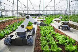 5 Forgotten Farming Techniques That Could Save Our Soil (And Our Future)