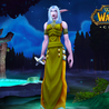 The state of the World of Warcraft designer in the game