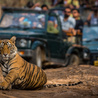 Golden triangle tour with Ranthambore by Taj Mirror Tour Company.