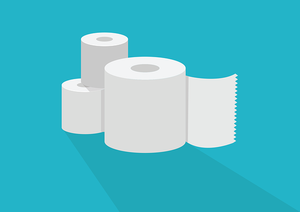 Toilet Paper Market Size 2024: Trends, Growth, and Insights