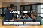 Avail of The Cheap Assignment Help At No1AssignmentHelp.Com