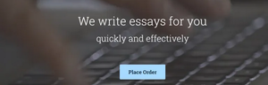 Best Essay Writing Services in USA 