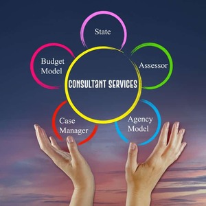 Service Delivery Models | Rochester CFSS consulting