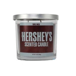  Hershey&#039;s Cnadle-14oz-4ct