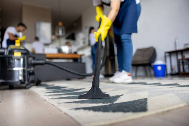 Transform Your Home with Rug Cleaning Services in Fort Myers