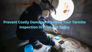 Prevent Costly Damage: Schedule Your Termite Inspection in Brisbane Today