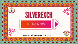  A Comprehensive Guide to Learning Silverexch Online Gaming Platform