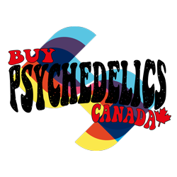 Does Lsd Online Canada Sometimes Make You Feel Stupid?