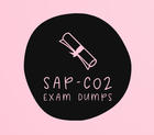 SAP-C02 Exam Dumps  So what precisely has modified for SAP-C02