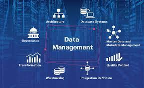 Efficient Clinical Data Management Services