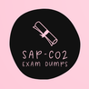 SAP-C02 Exam Dumps  So what precisely has modified for SAP-C02