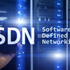 Global Software Defined Networking Market Size, Share, Growth and Analysis Report 2021-2026