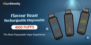 Flavour Beast Rechargeable Disposable-4000 Puffs:The Best Disposable Vape Experience