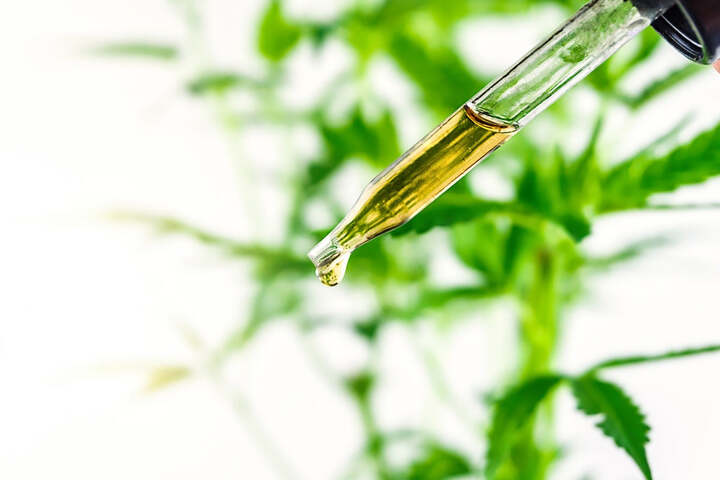 What Does CBD Rely on? 