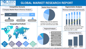 Fruit Beer Market Size, Share and Forecast Year 2032