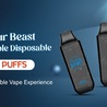 Flavour Beast Rechargeable Disposable-4000 Puffs:The Best Disposable Vape Experience