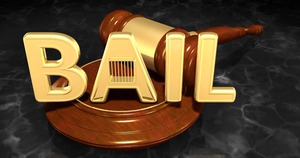 The Reasons behind the Introduction of the Bail System