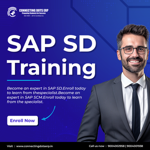 How will SAP SD training in Pune assist you in preparing for the workforce?