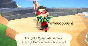 Animal Crossing: Valuable Bugs in New Horizons