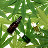 The Benefits of CBD Oil for Stress-Related Disorders