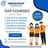 Why Choose an SAP SD Training Institute in Mumbai for Your Professional Growth?